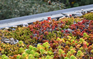 the cost of Woolscott green roof installation