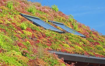 Woolscott living roof systems